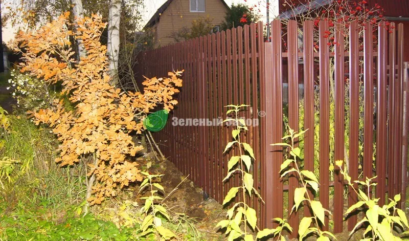 Штакетник-1.jpg