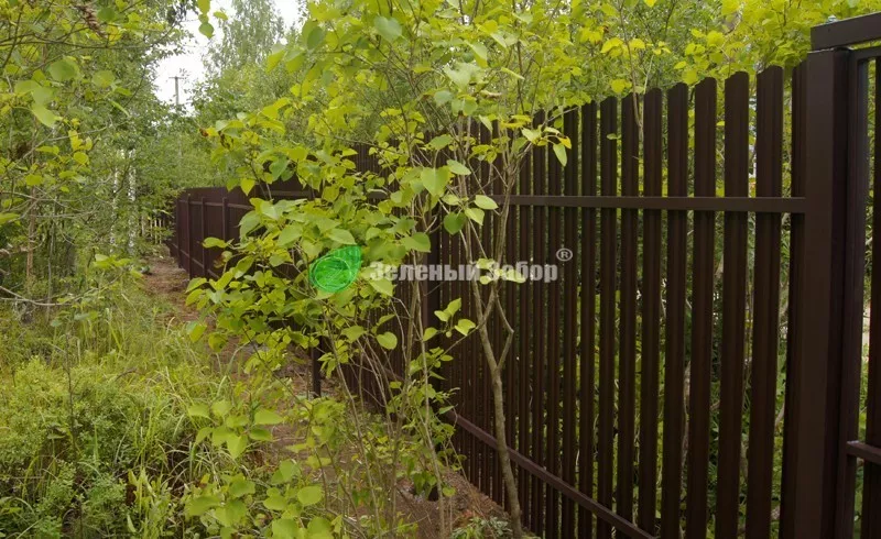 Штакетник7.jpg